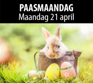 Open vandaag tot 18u 🌸